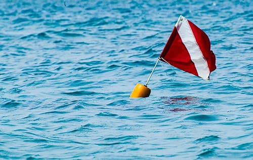 Search & Recovery