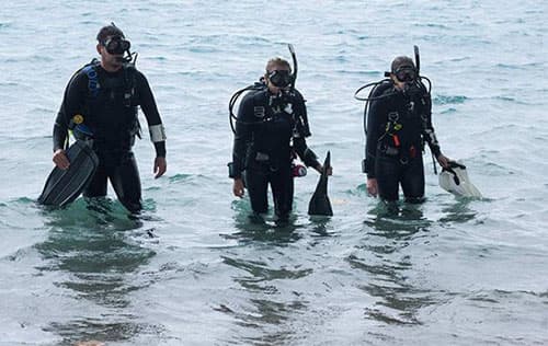 Shore & Beach Diver