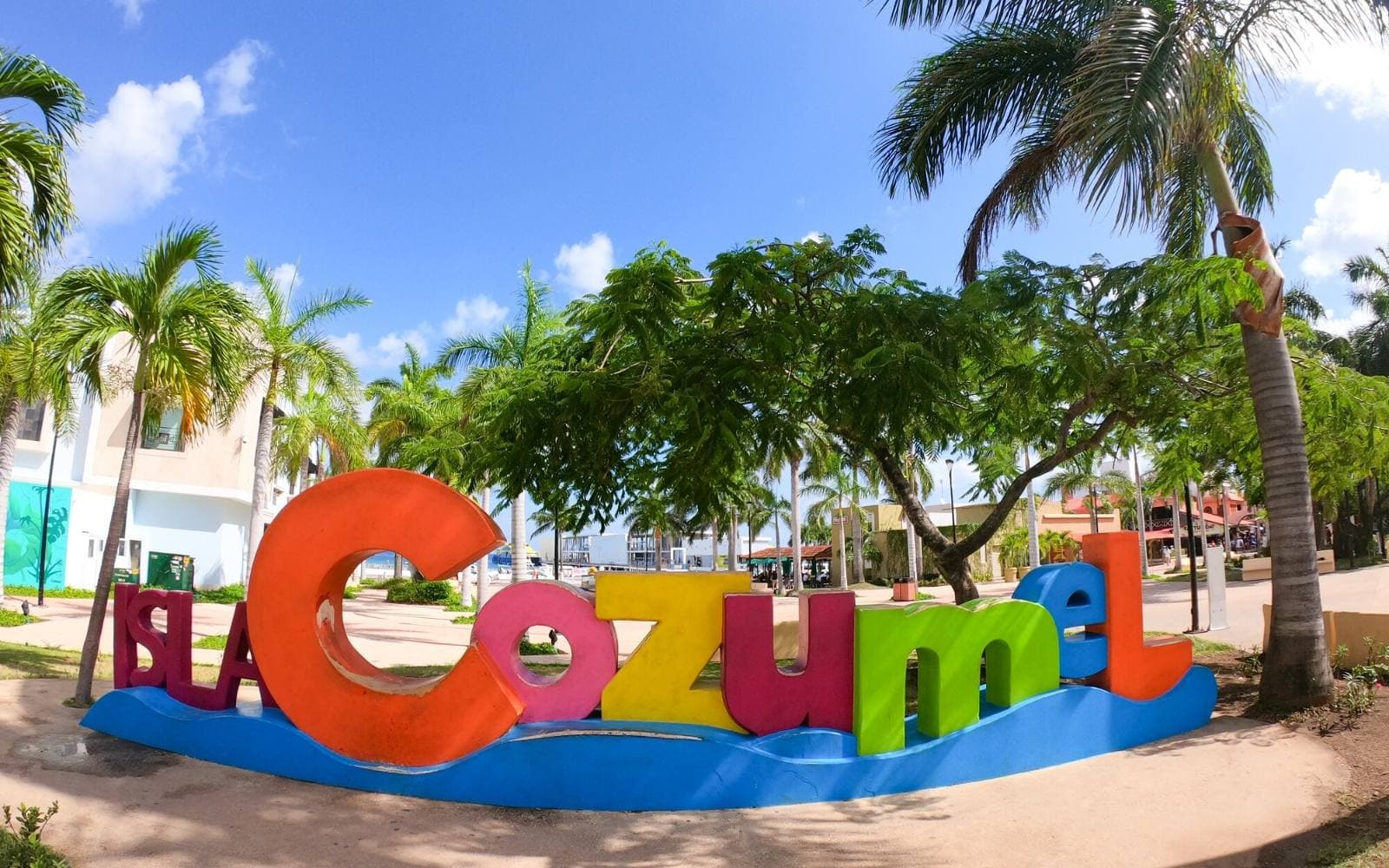 Halloween in Cozumel