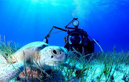 Diver training